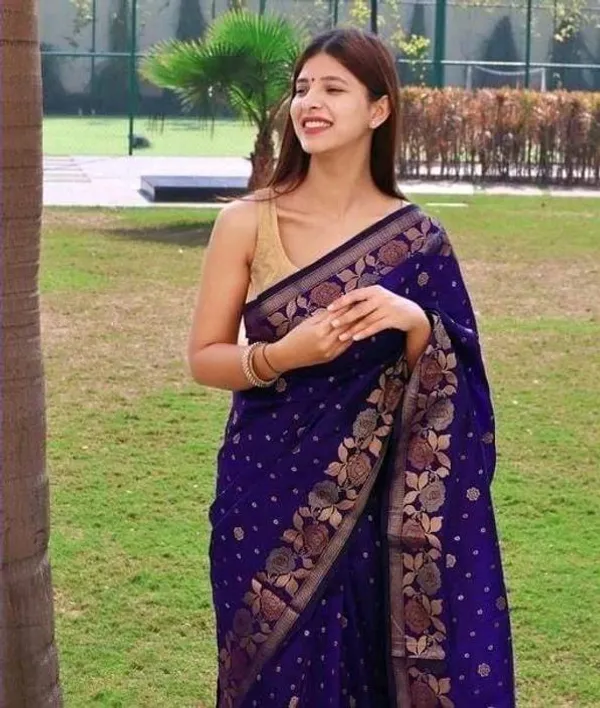 Dark_Blue_Embellished_Banarasi_Jacquard_Saree_(Dark_Blue)